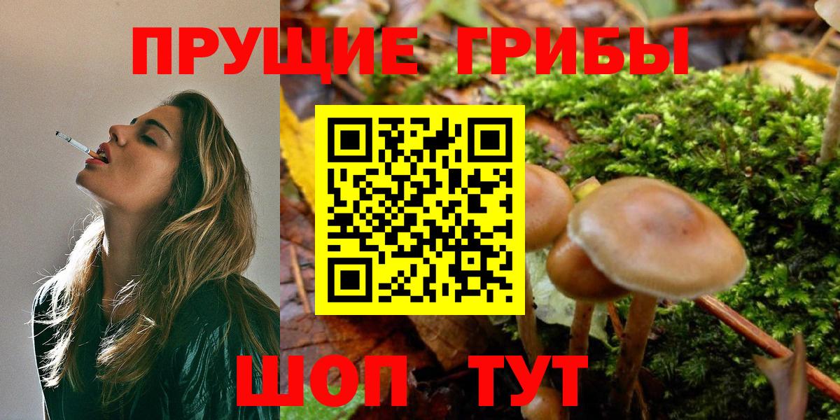 Псилоцибиновые грибы Cubensis Петропавловск-Камчатский