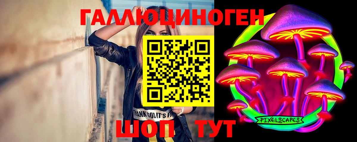 Петропавловск-Камчатский  Псилоцибиновые грибы MAGIC MUSHROOMS  Вход с VPN  купить  цена  Галлюциногенные грибы Cubensis 